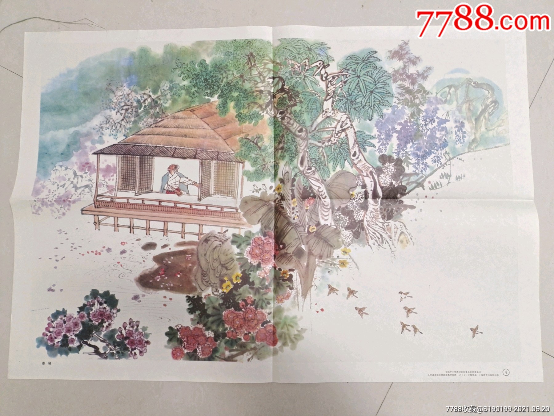 五年制小学课本语文第四册教学挂图春晓