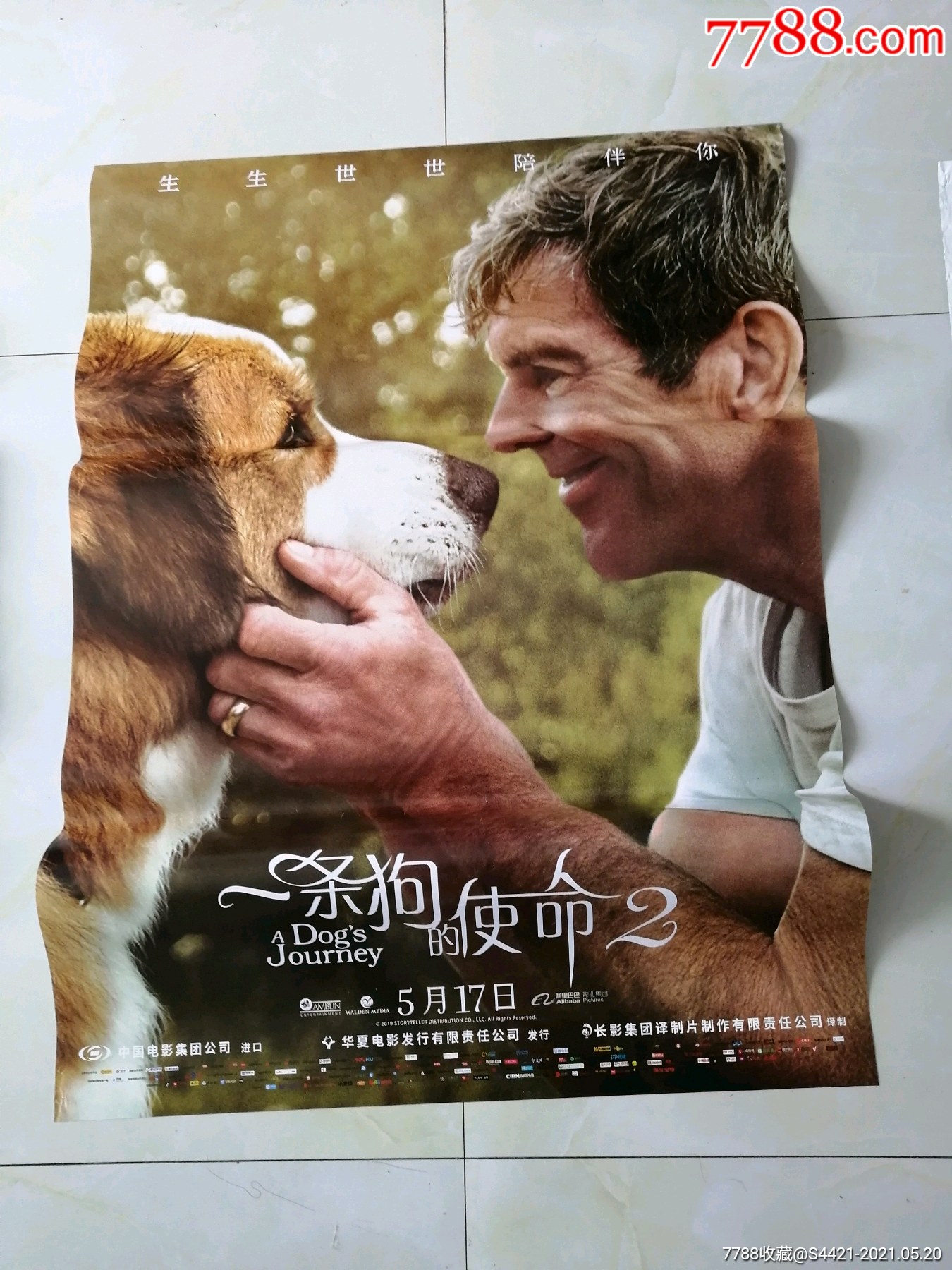 一条狗的使命-电影海报-7788收藏