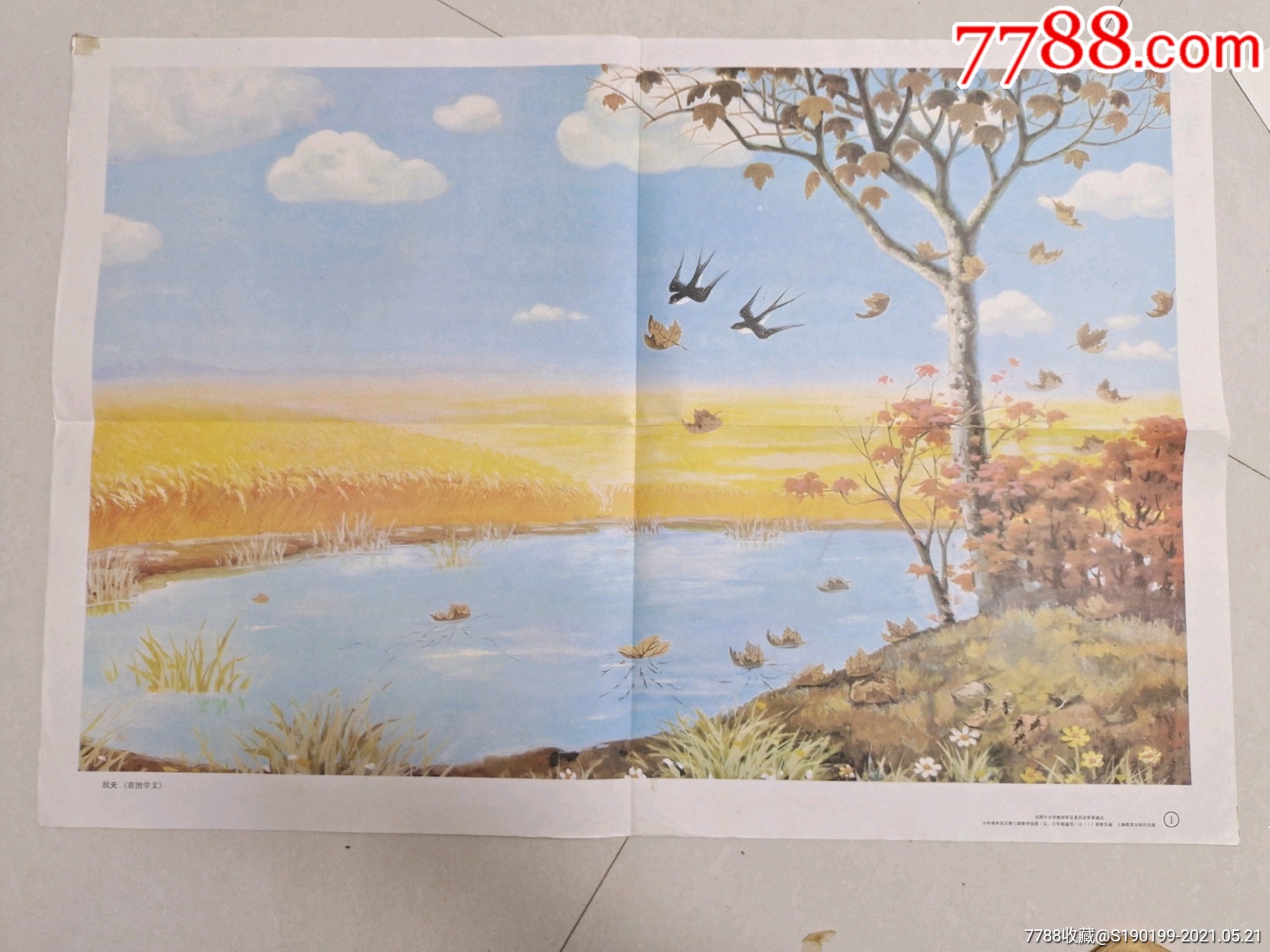 小学课本语文第三册教学挂图秋天货号天字