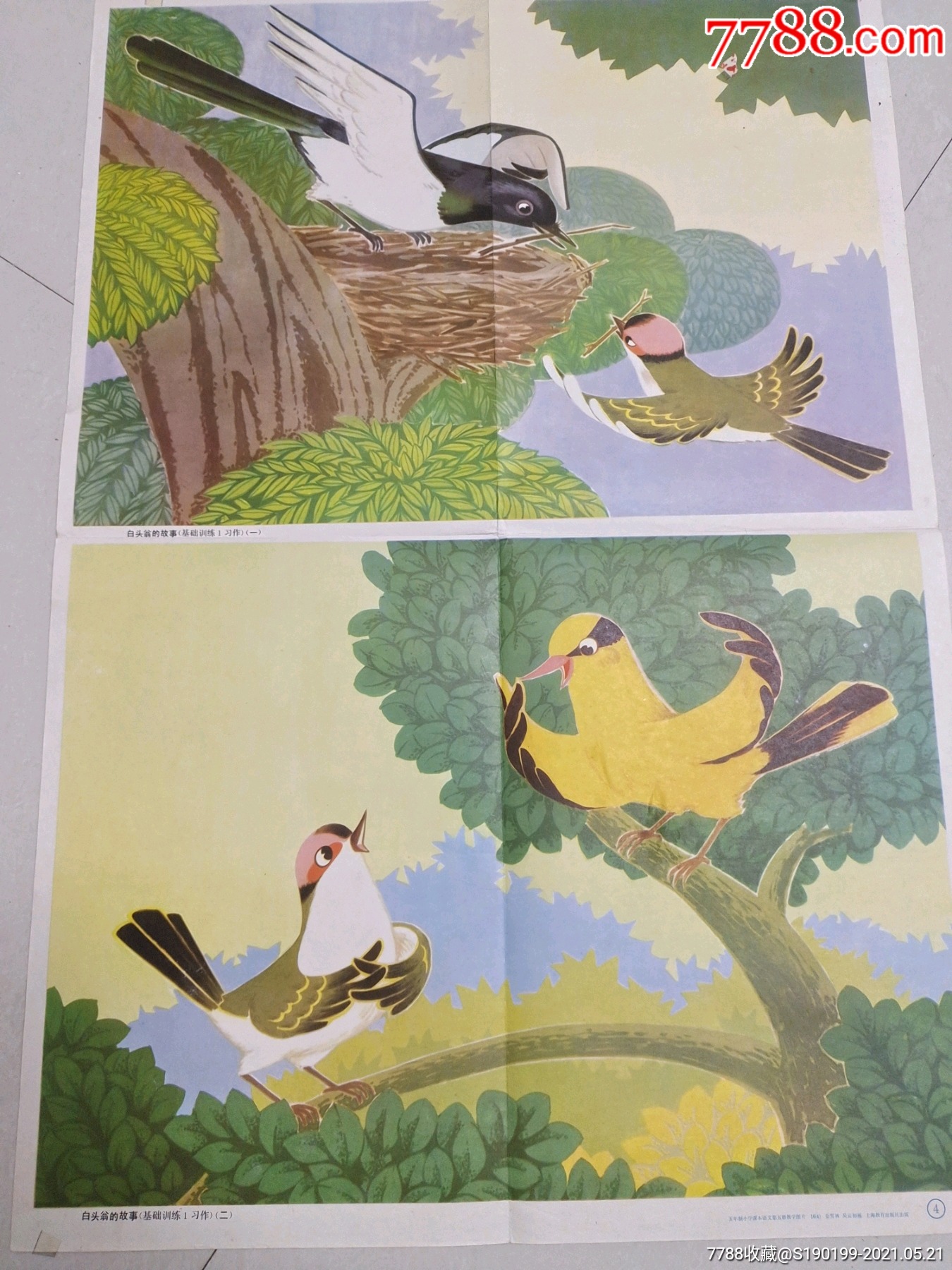 五年制小学课本语文第五册教学挂图《白头翁的故事》