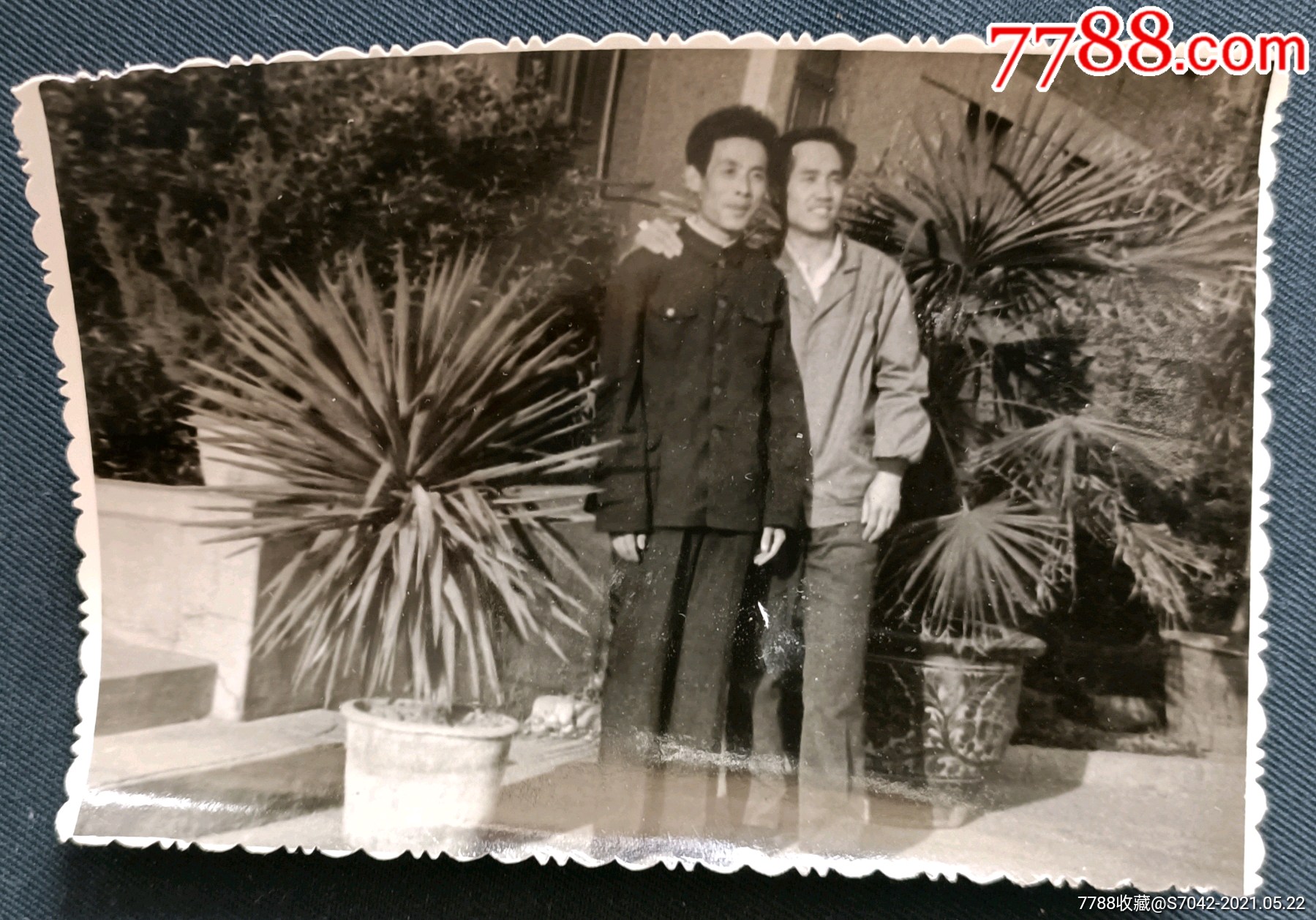 八十年代老照片--花园合影_价格1元【藏者之家】_第1张_7788商城