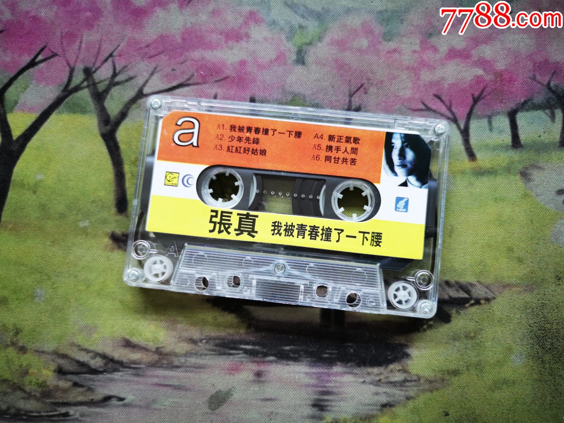 首页 零售 磁带/卡带 >> 【张真】【我被青春撞