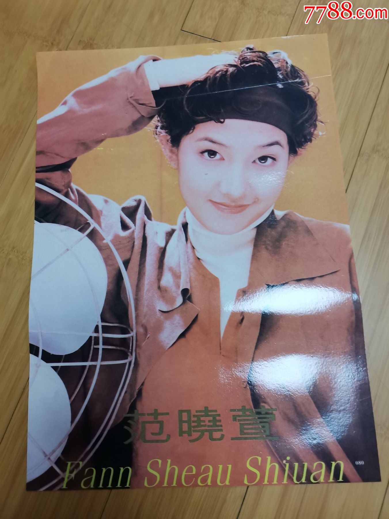 90年代怀旧明星海报贴画:范晓萱2