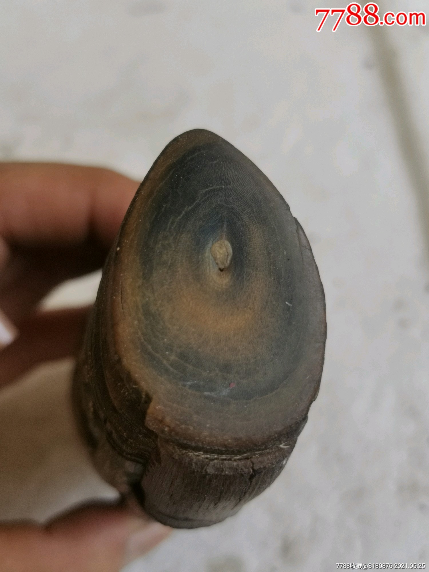 老牛角刻花笔筒