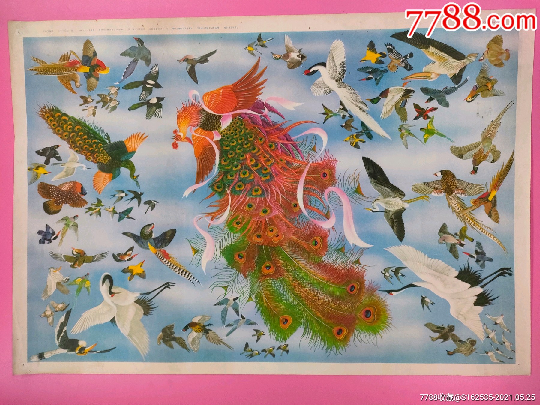 百鸟朝凤-年画/宣传画-7788收音机