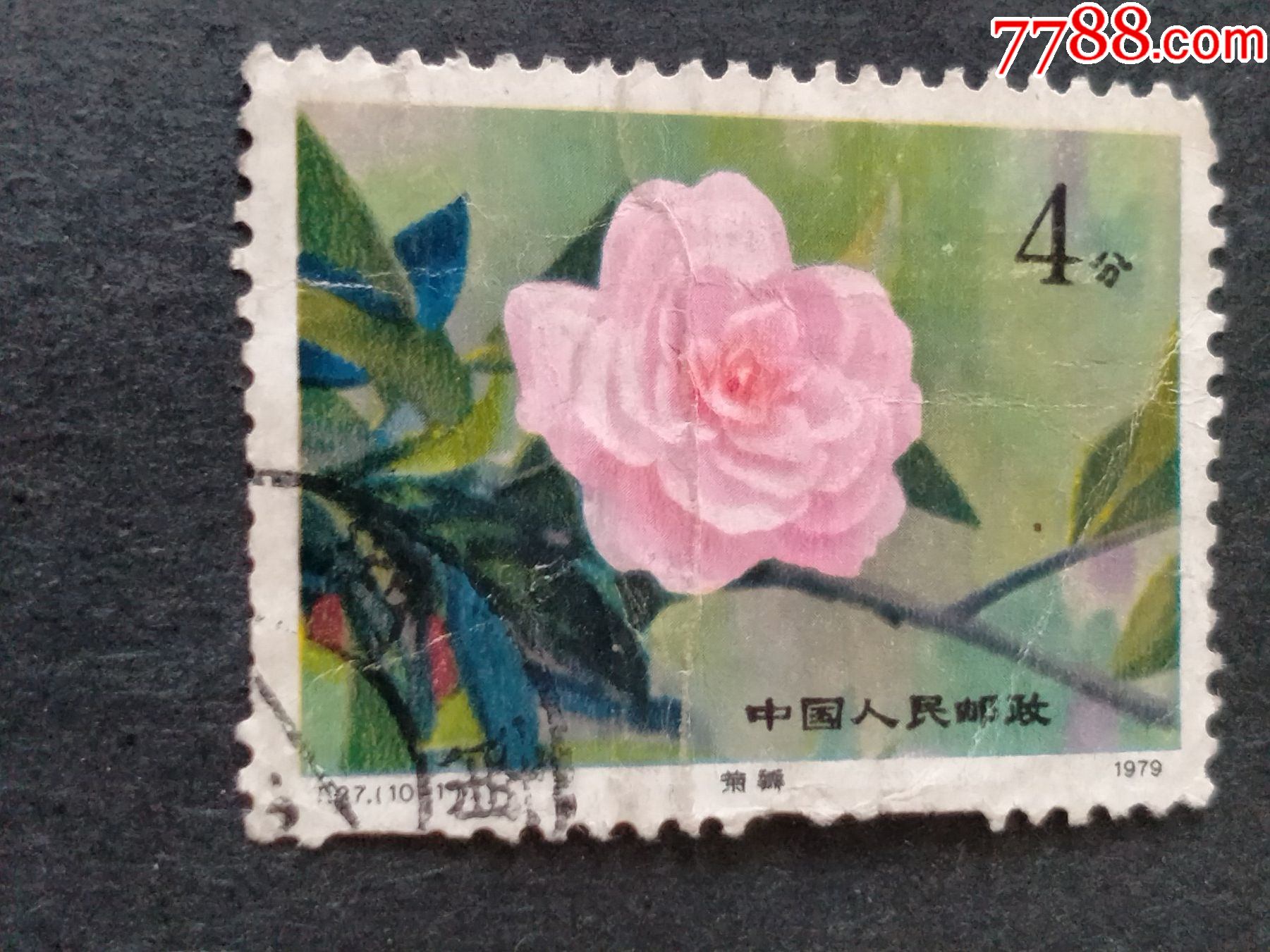 t37云南山茶花_新中国邮票_第1张_7788铜器收藏