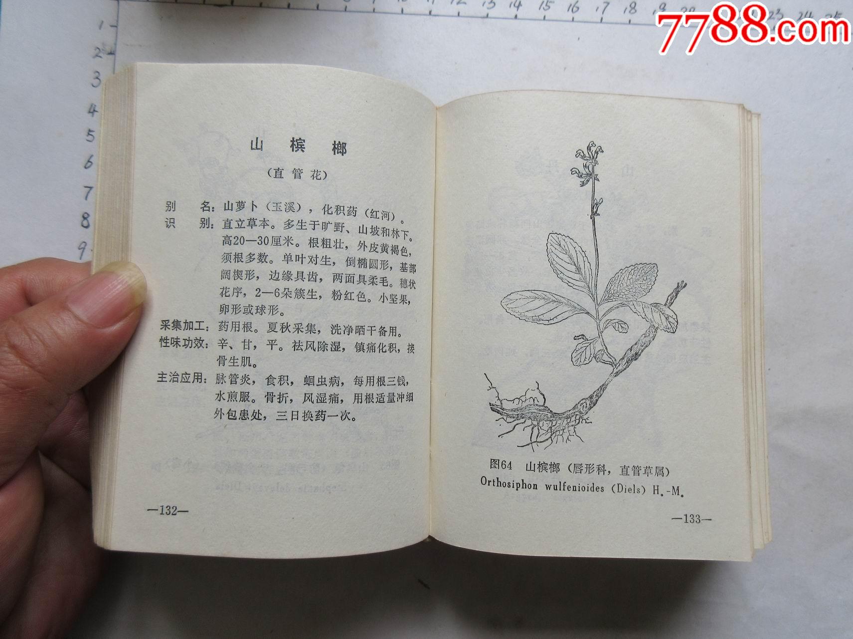 云南中草药_第11张_7788旧书网