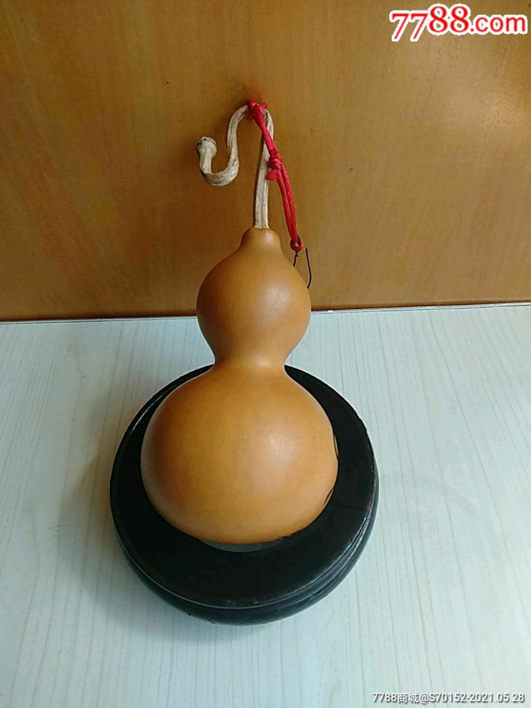 甘凤豪陈葫芦烙画猪