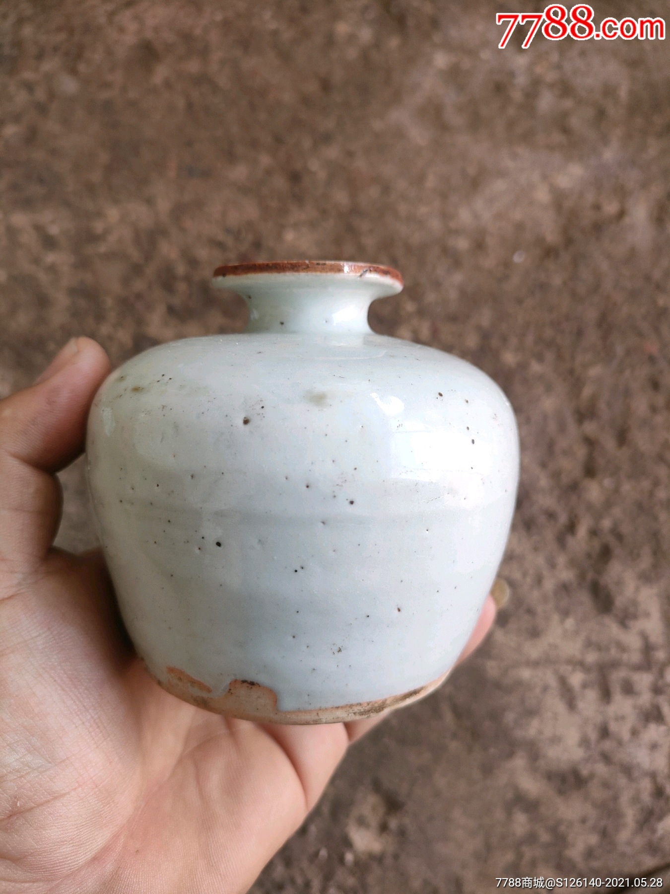 酱口苹果尊