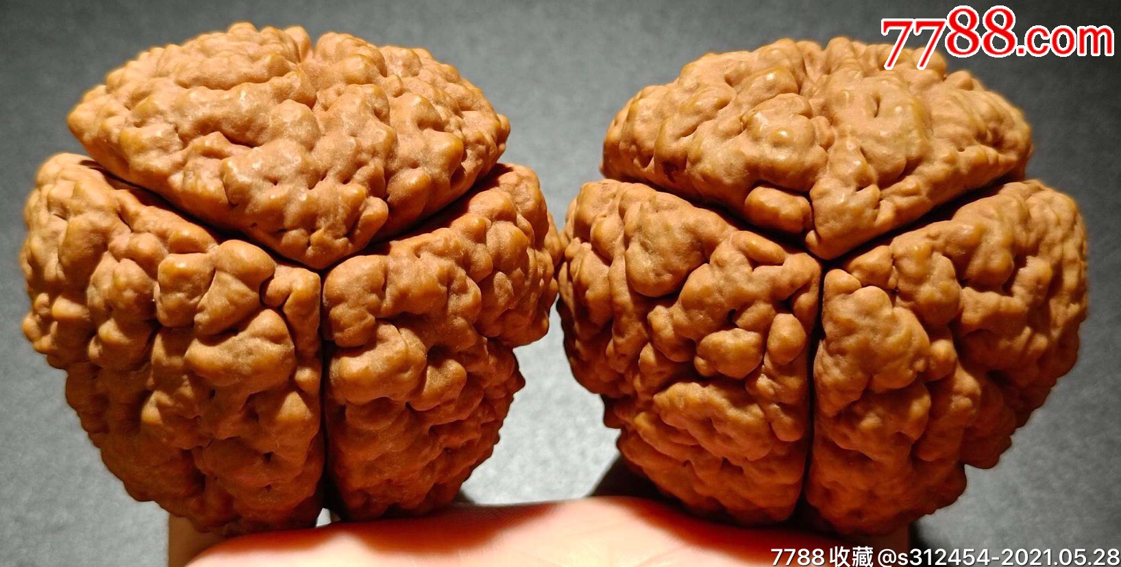 爆肉双龙三瓣大金刚