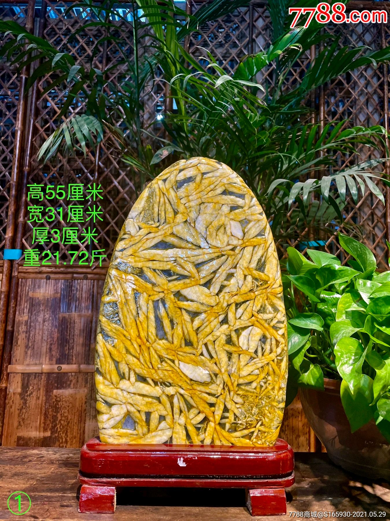 天然造型竹叶石黄金叶竹叶石,又称五花石鱼籽石,它是一种很有灵性的