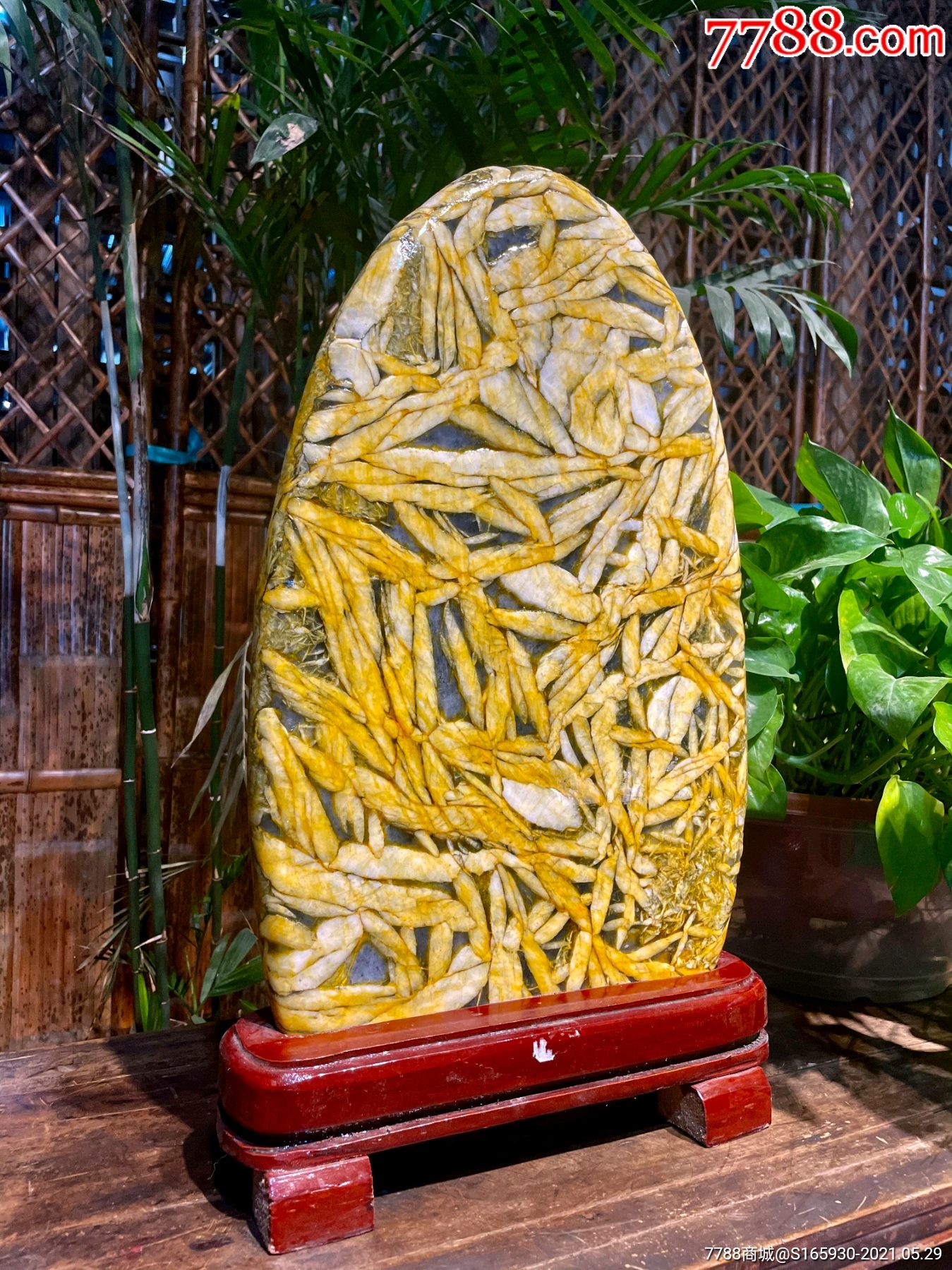 天然造型竹叶石黄金叶竹叶石,又称五花石鱼籽石,它是一种很有灵性的
