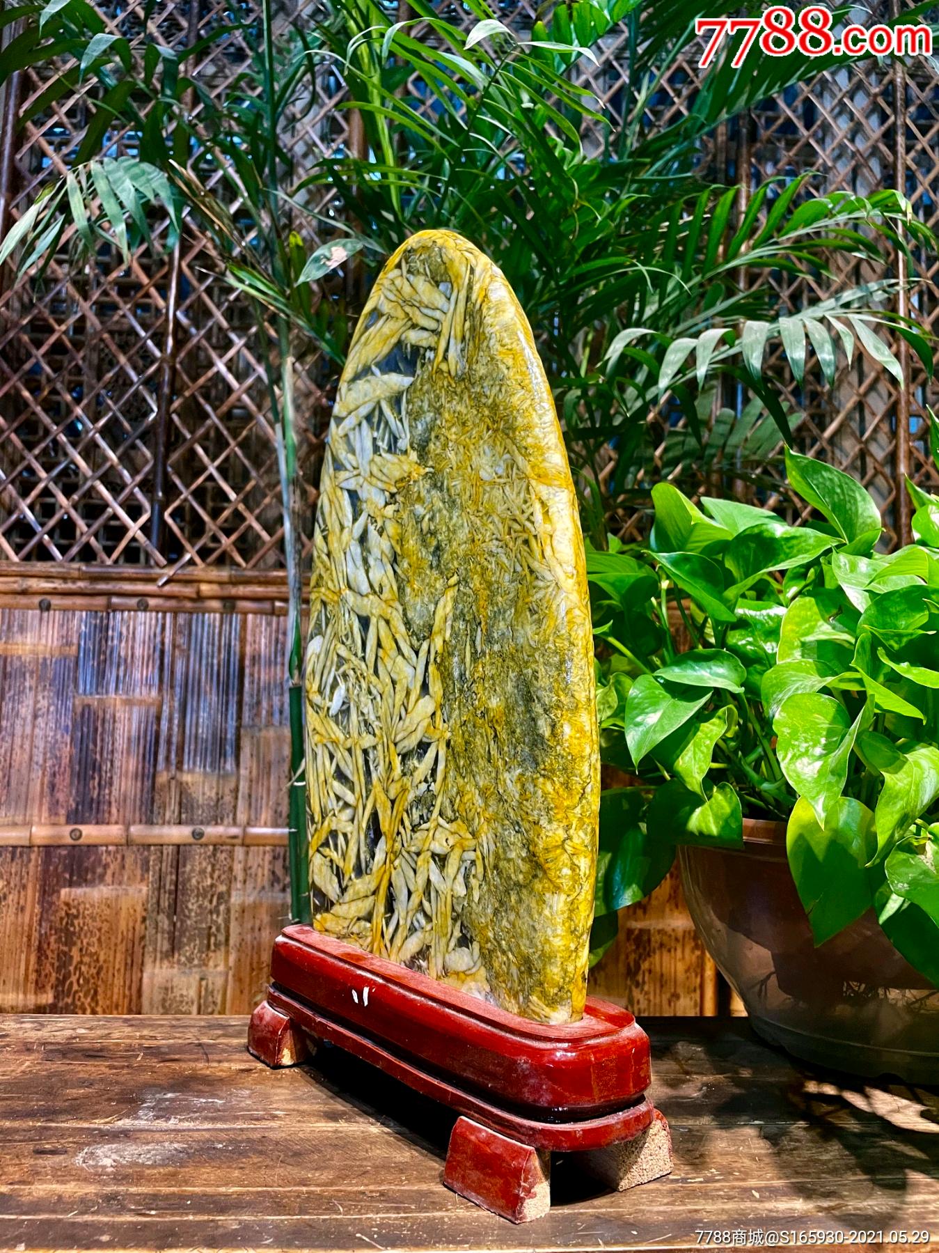 天然造型竹叶石黄金叶竹叶石,又称五花石鱼籽石,它是一种很有灵性的