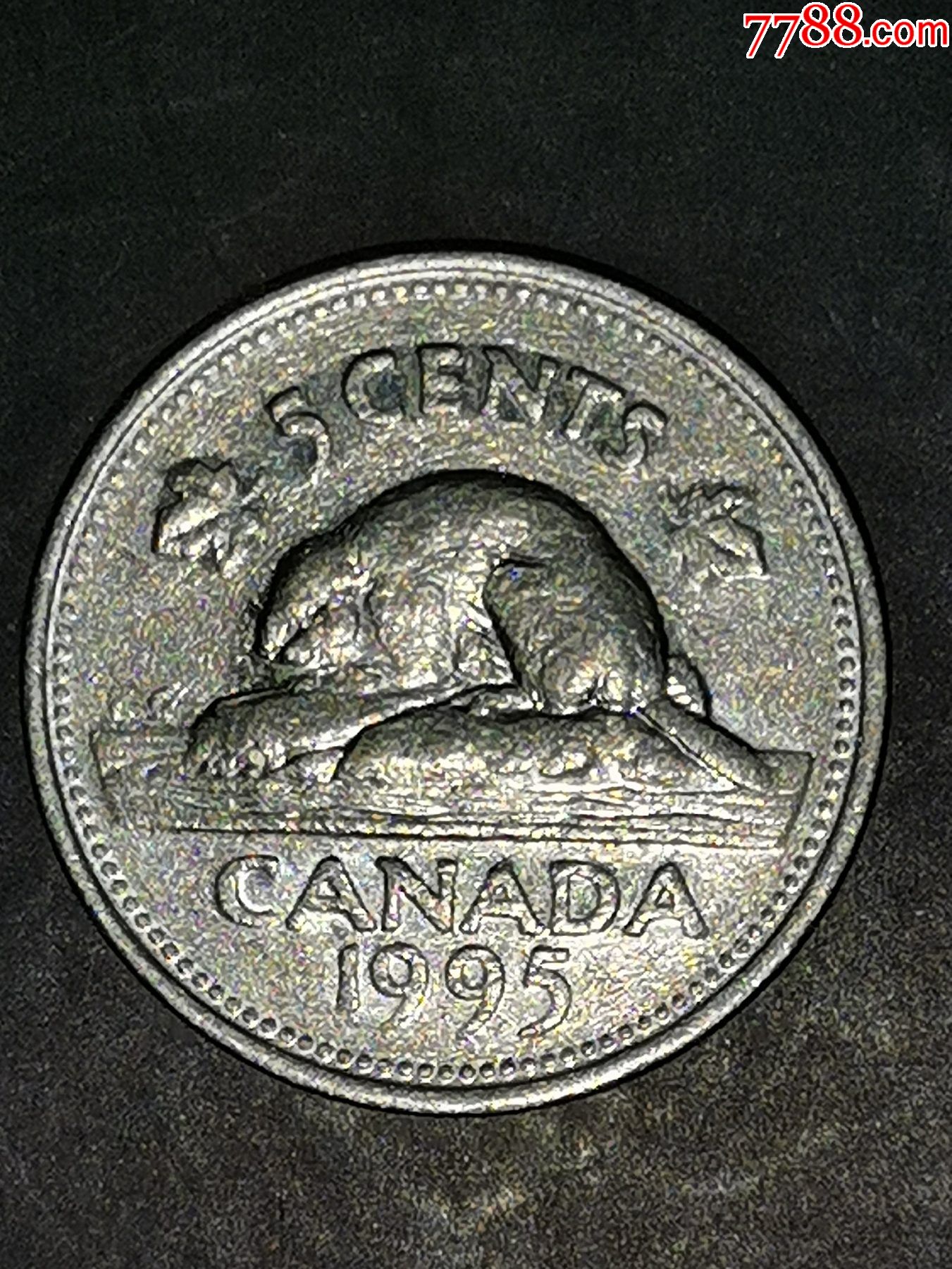加拿大1995年5分_外国钱币_第1张_7788集邮网