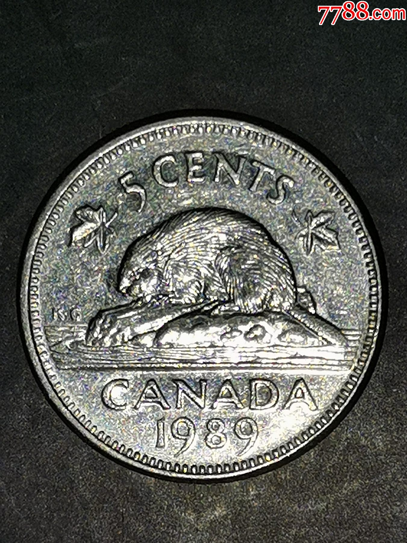 加拿大1989年5分
