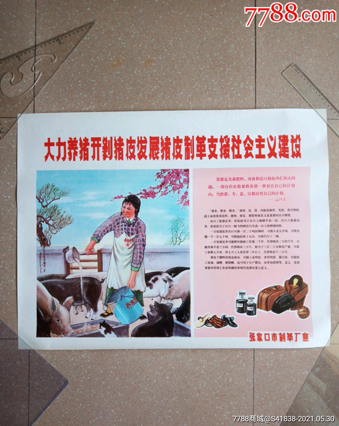 七十年代宣传画大力发展养猪