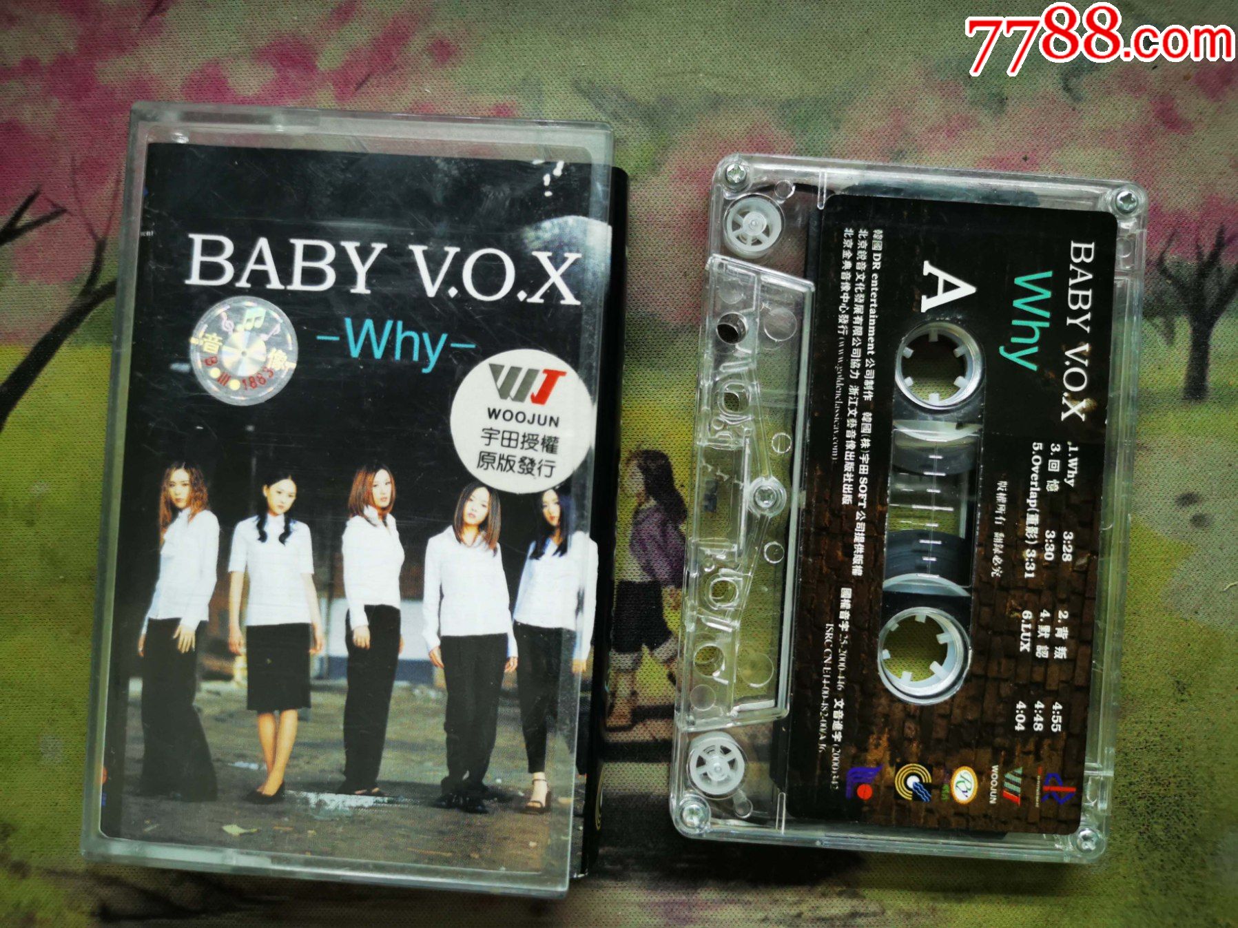 babyvox why图片