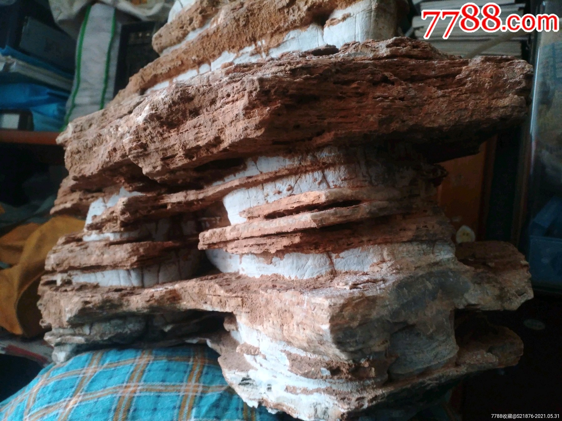 金镶玉自然风化石