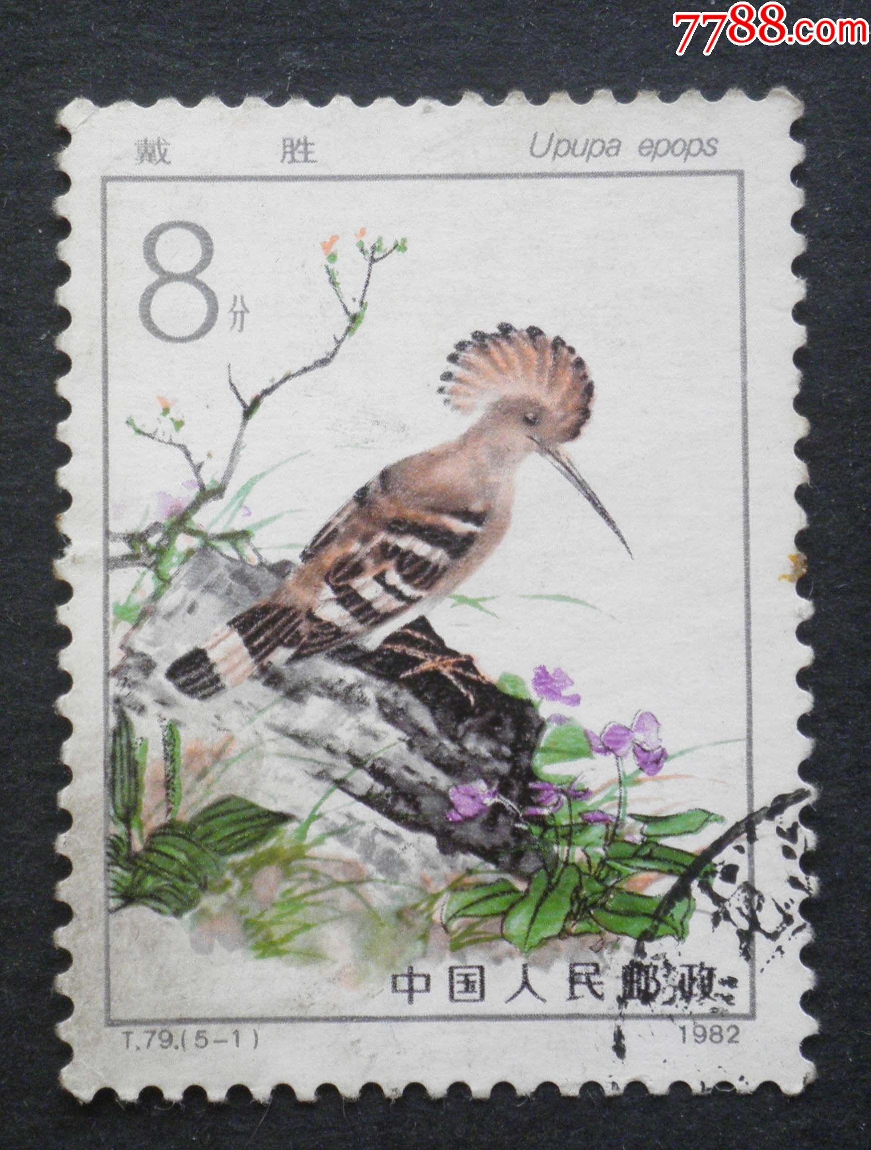 信销票t79益鸟51戴胜