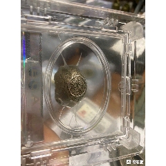 清代银锭(se80545006)_7788收藏__收藏热线