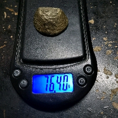 元宝半截(se80547408)_7788收藏__收藏热线