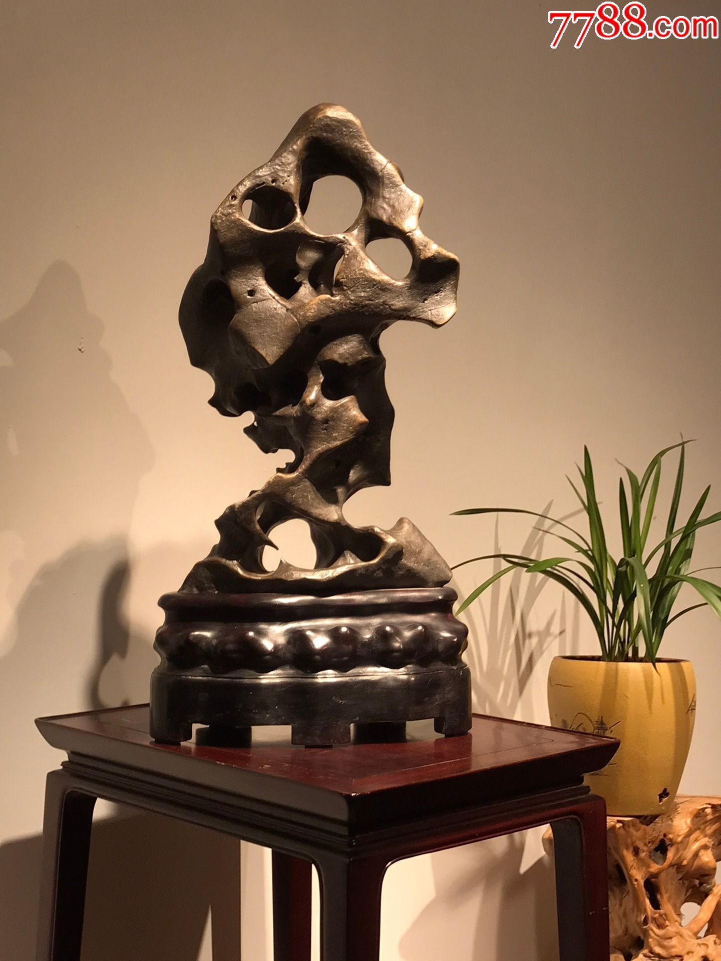 太湖石【琅云】