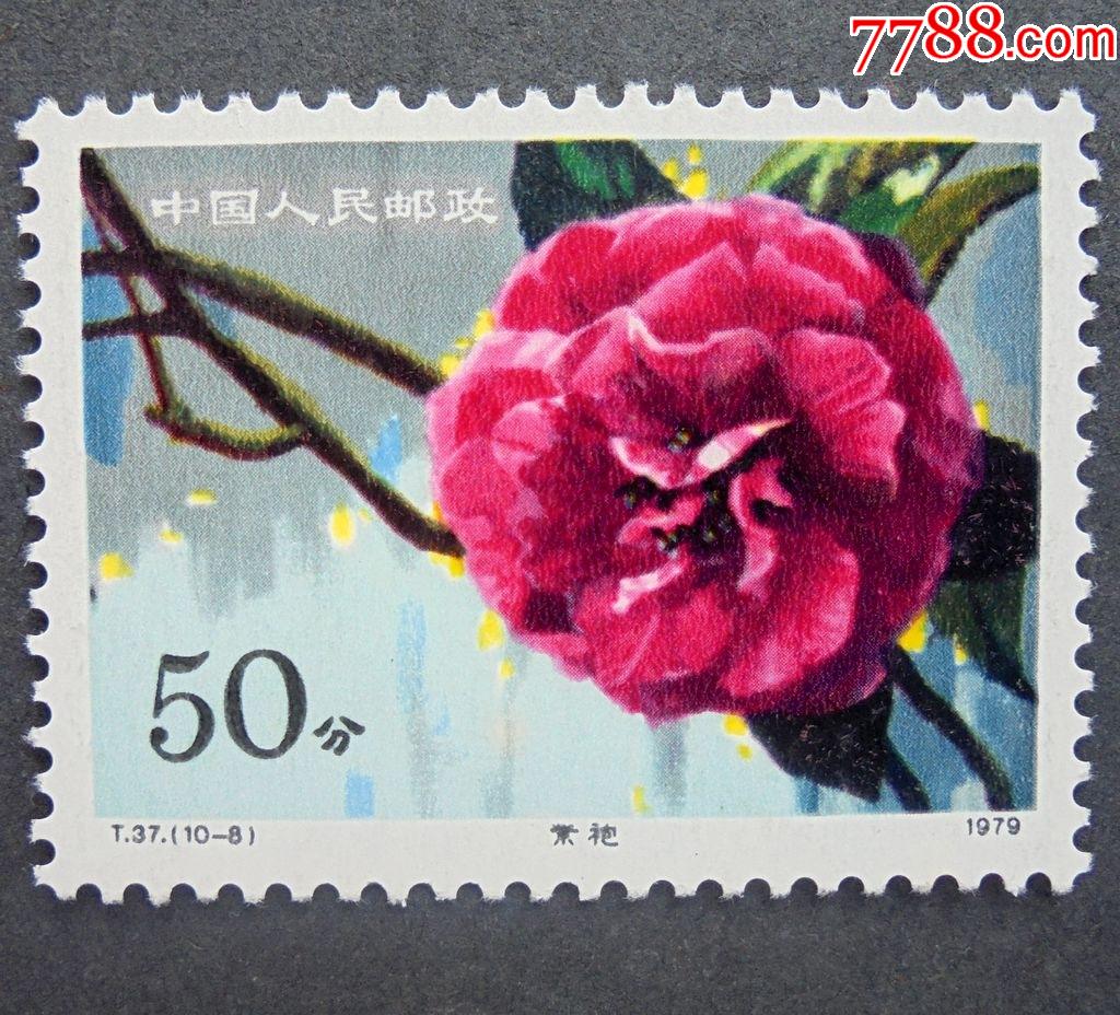 邮票,t37云南山茶花10-8,紫袍50分,原胶全品1979年