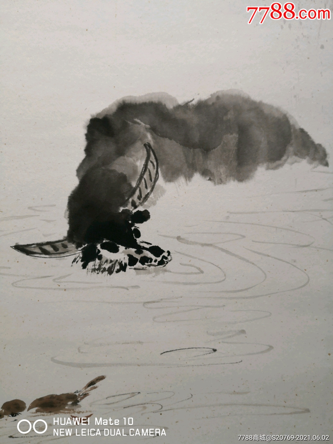 四川著名笑星李伯清水牛图图精品_花鸟国画原作_第4张_7788字画网