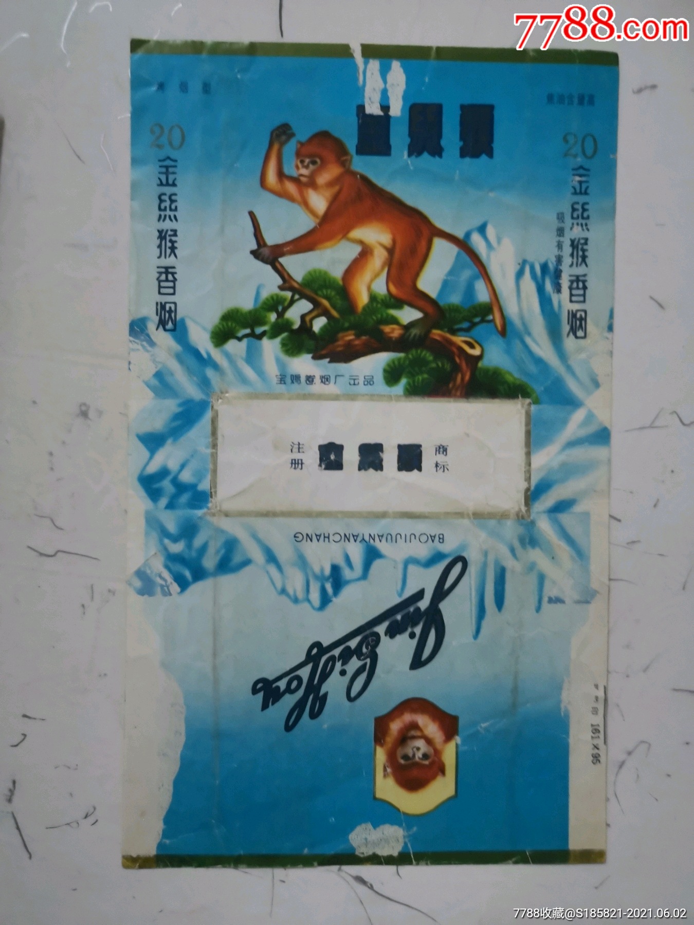 金丝猴