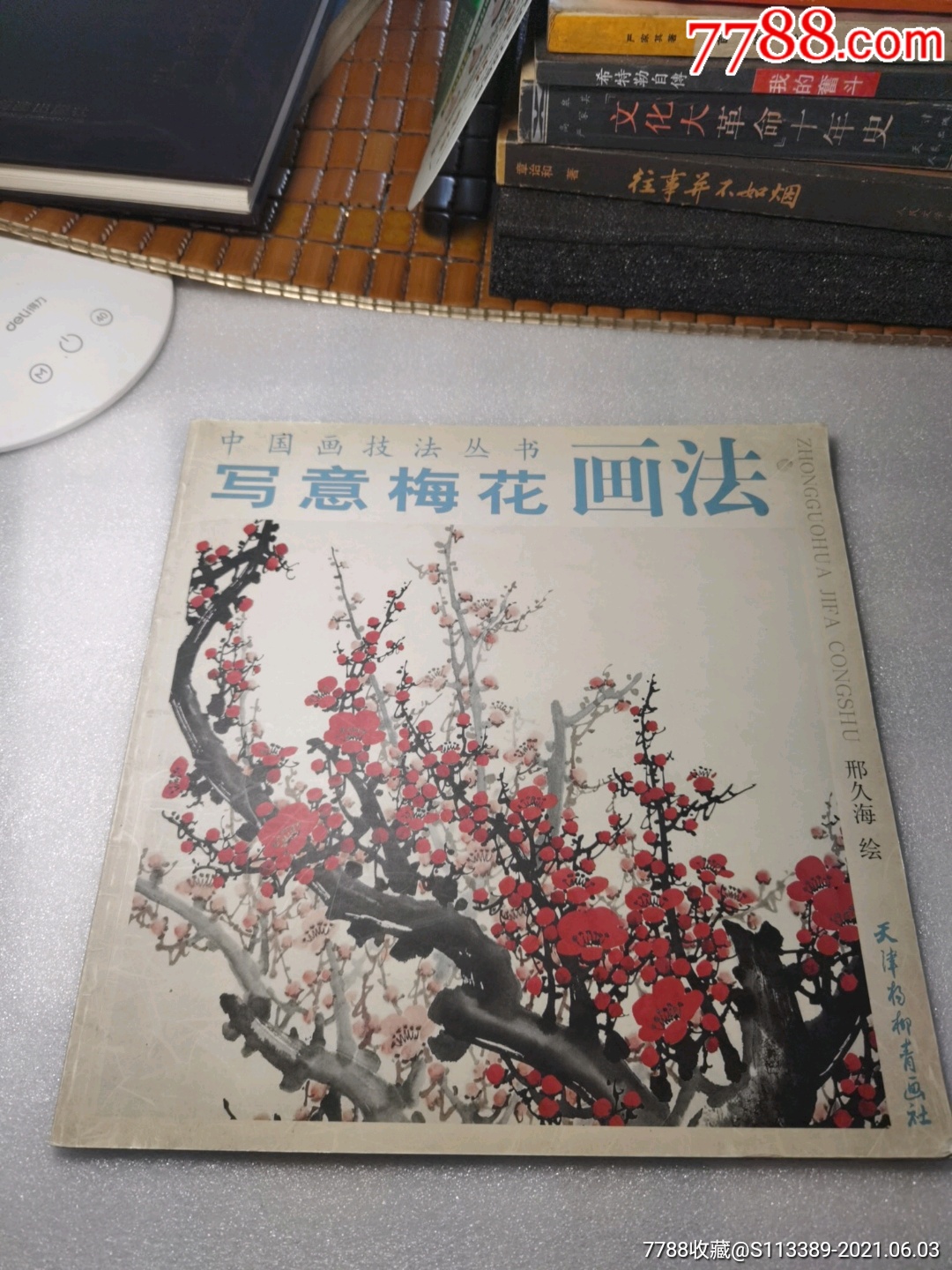 写意梅花画法