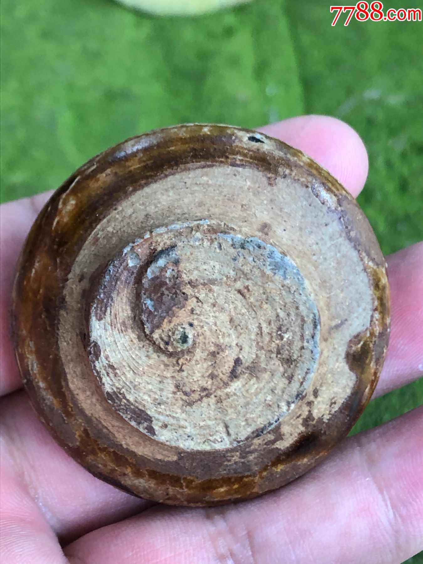 唐代水盂,宽5厘米完整