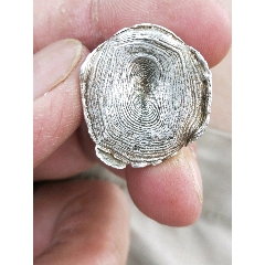 银锭(se80616297)_7788收藏__收藏热线