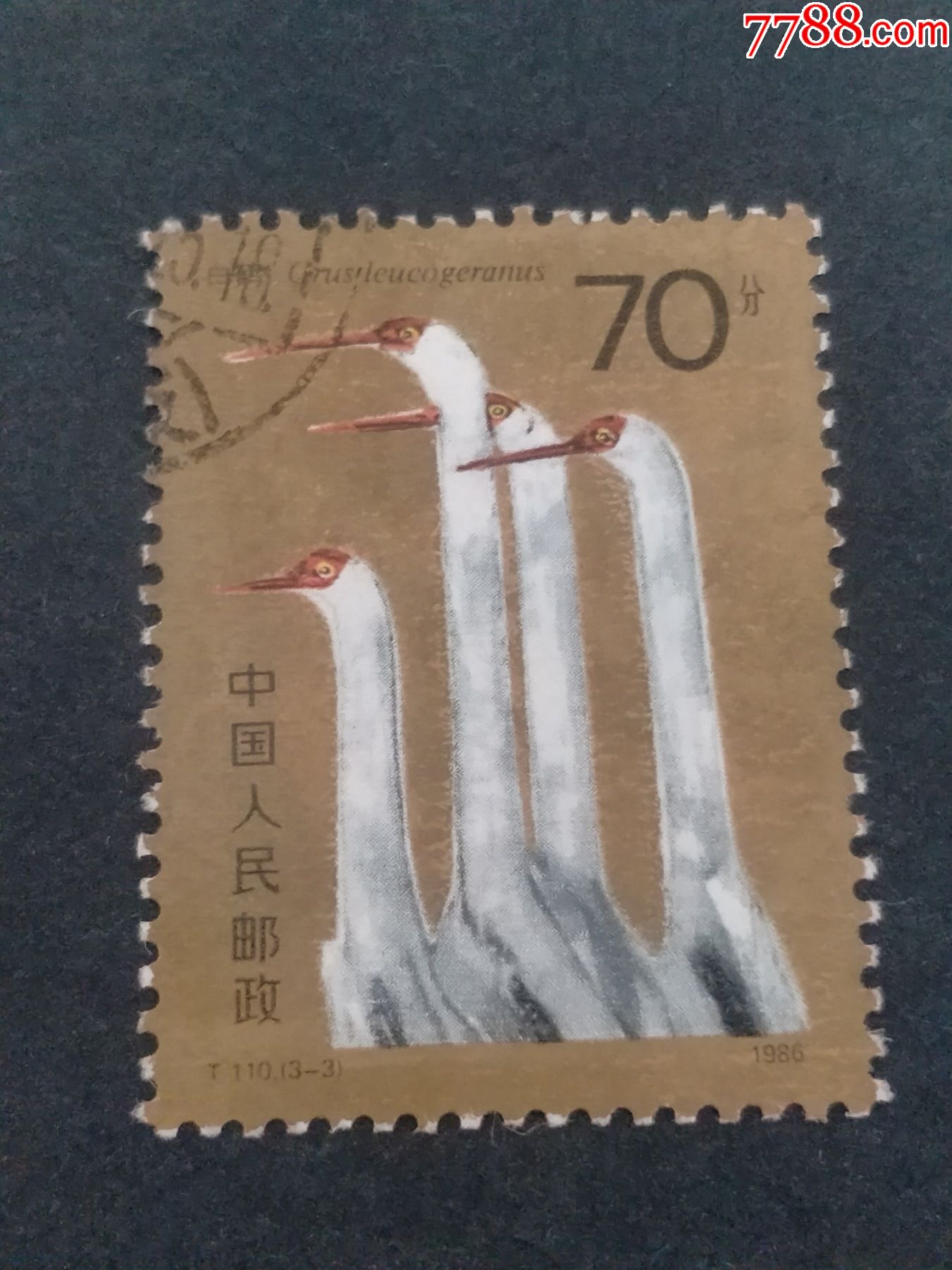 t110白鹤-价格:2元-se80617319-新中国邮票-零售-7788收藏__收藏热线