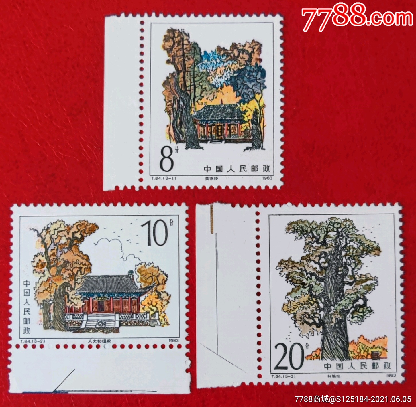 1983年t84黄帝陵邮票带边全新原胶全品套票