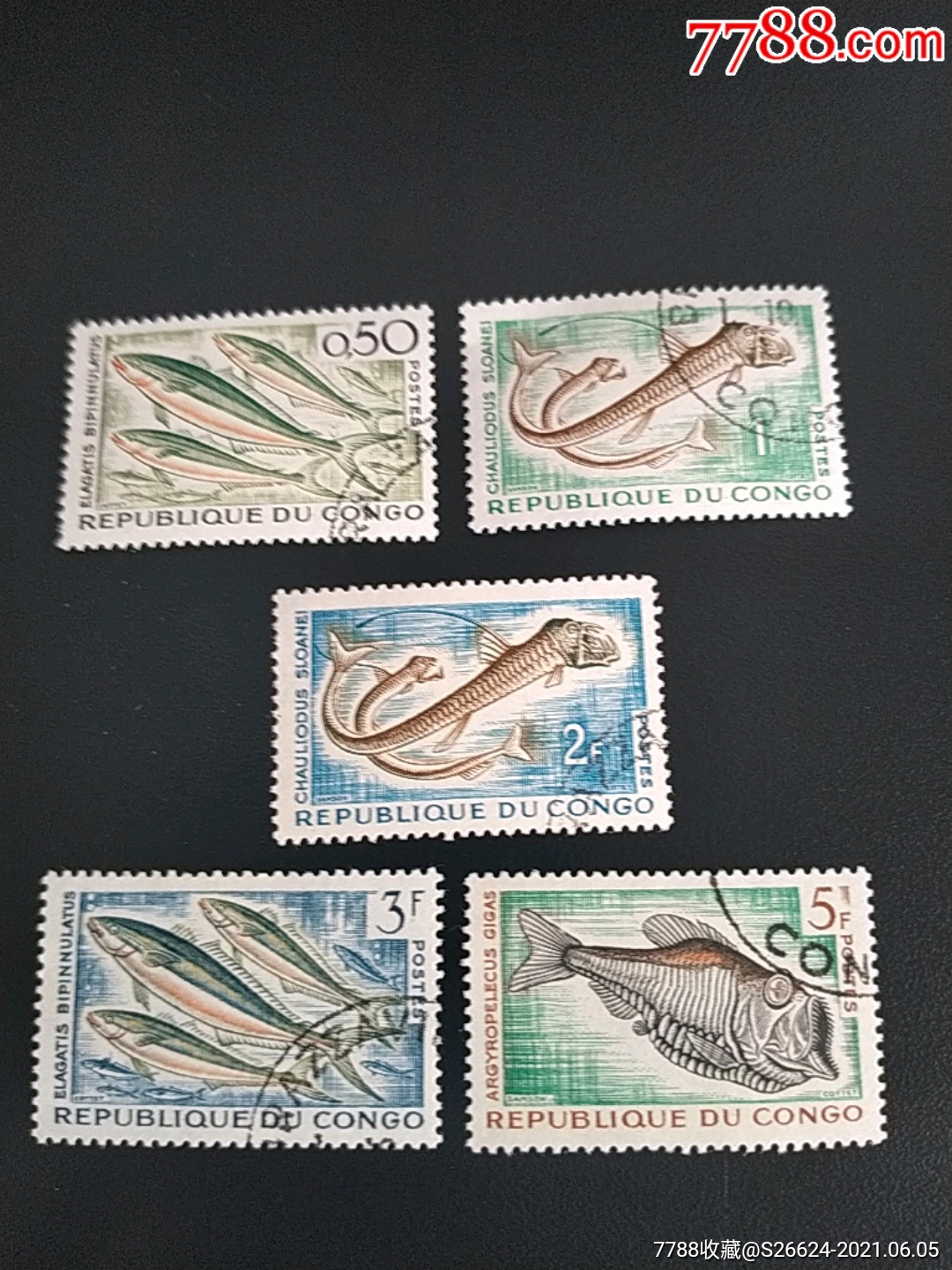 1961年刚果深海鱼类，彩虹鱼和斯隆的蝰蛇及锤头鱼雕刻版邮票5枚销-价格:8元-se80645344-非洲邮票-零售-7788收藏__收藏热线
