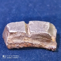 大铤分割(se80650125)_7788收藏__收藏热线