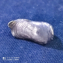 超小元宝(se80650223)_7788收藏__收藏热线