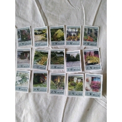 长沙火柴厂，花卉，全套15张(se80665038)_7788收藏__收藏热线