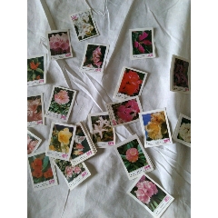 大理火柴厂，花卉，全套50张(se80665978)_7788收藏__收藏热线