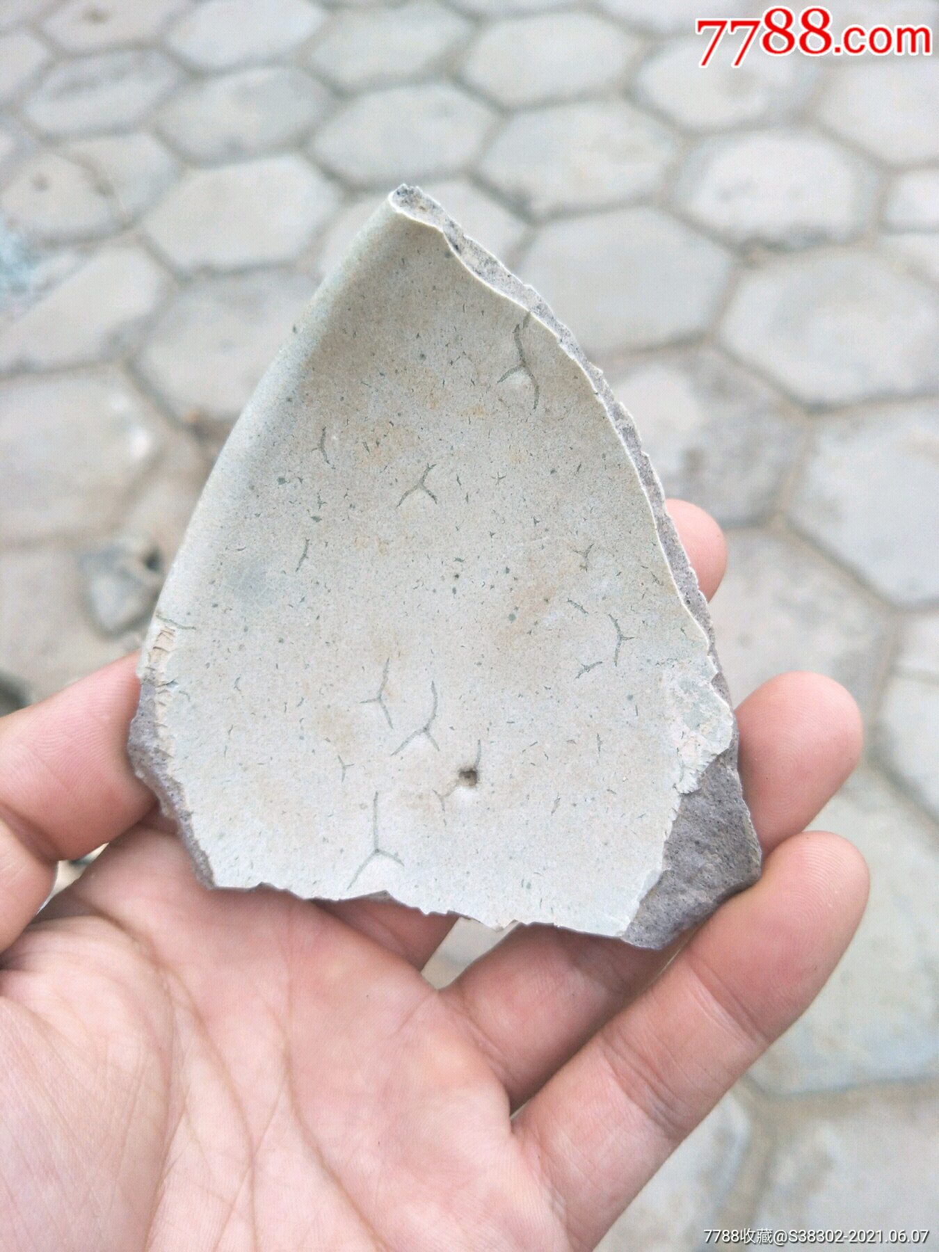 京杭大运河出品元代钧窑瓷片蚯蚓走泥纹