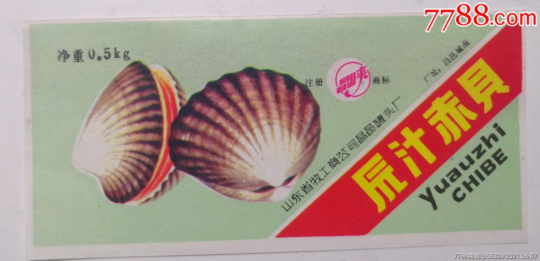 原汁赤贝山东昌邑罐头厂