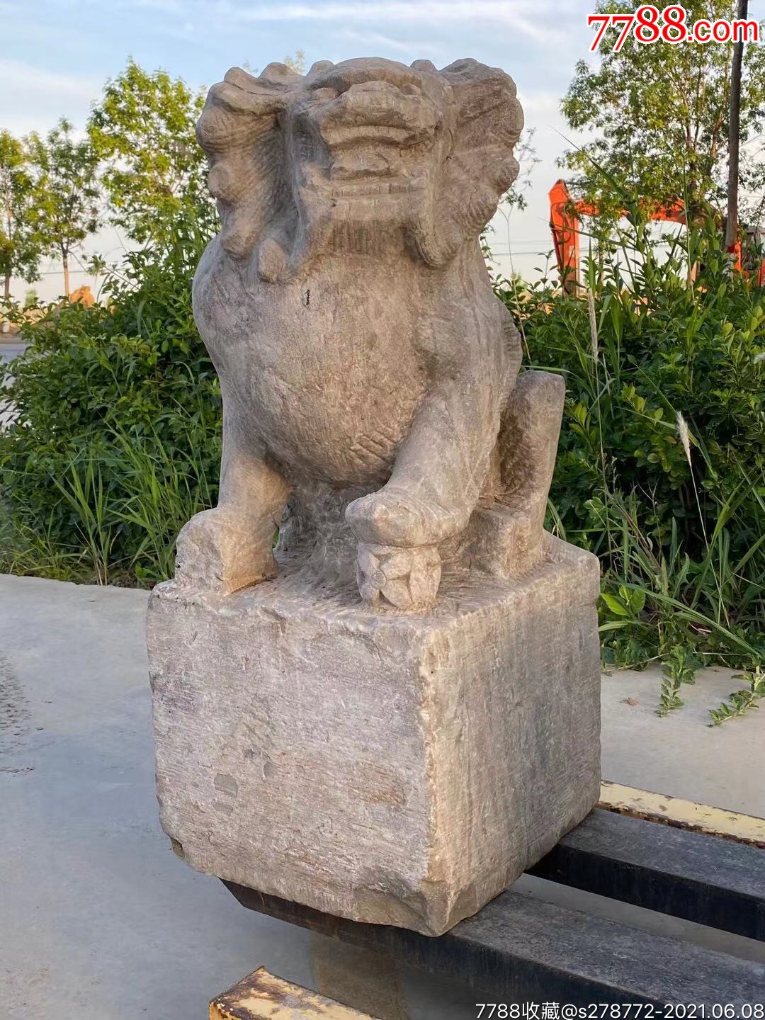 明代青石平头狮48_石狮/石雕塑_博达收藏【7788收藏__收藏热线】