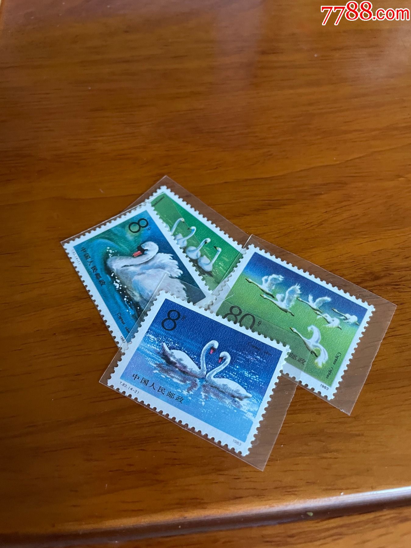t83天鹅_新中国邮票_第1张_7788集邮网