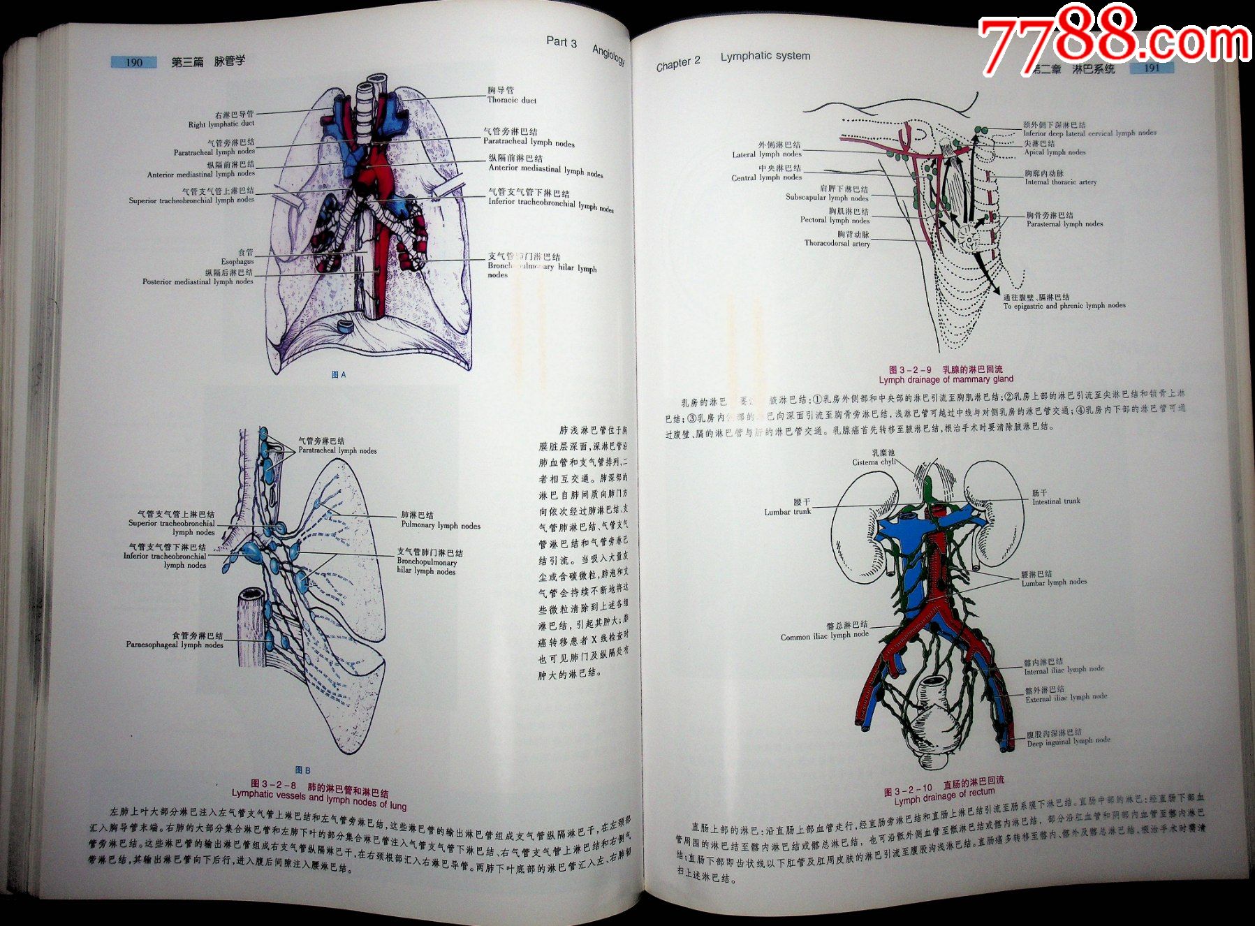 有没有推荐公用的解剖网站_有没有推荐公用的解剖网站软件