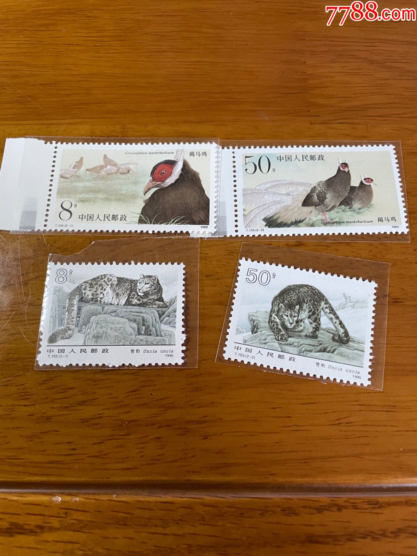 t134褐马鸡_新中国邮票_第1张_7788集邮网