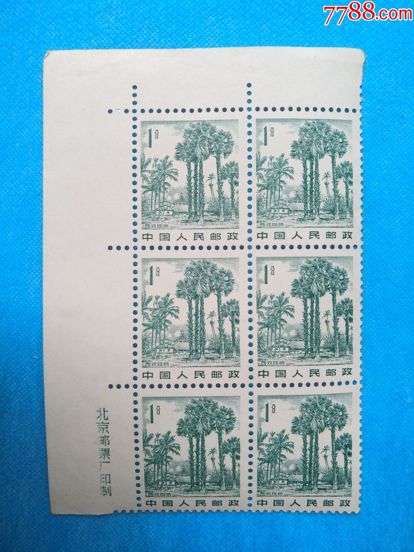 普21西双版纳6方连版名_新中国邮票_图片欣赏_收藏价格_7788烟标收藏