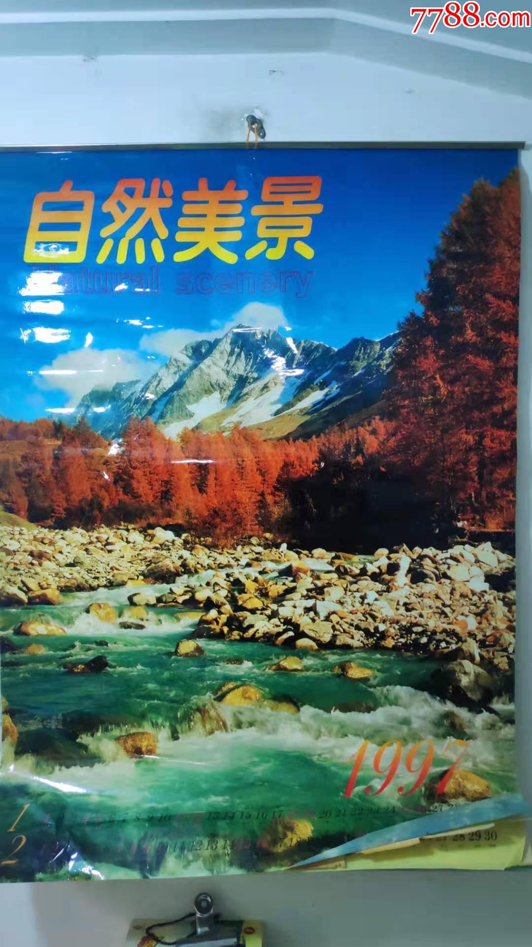 怀旧老挂历1995年风景塑膜双月摄影题材民俗怀旧挂历全总第788号