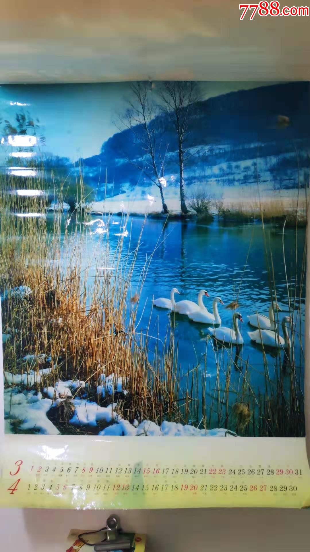 怀旧老挂历~1995年风景塑膜双月摄影题材民俗怀旧挂历全,总第788号