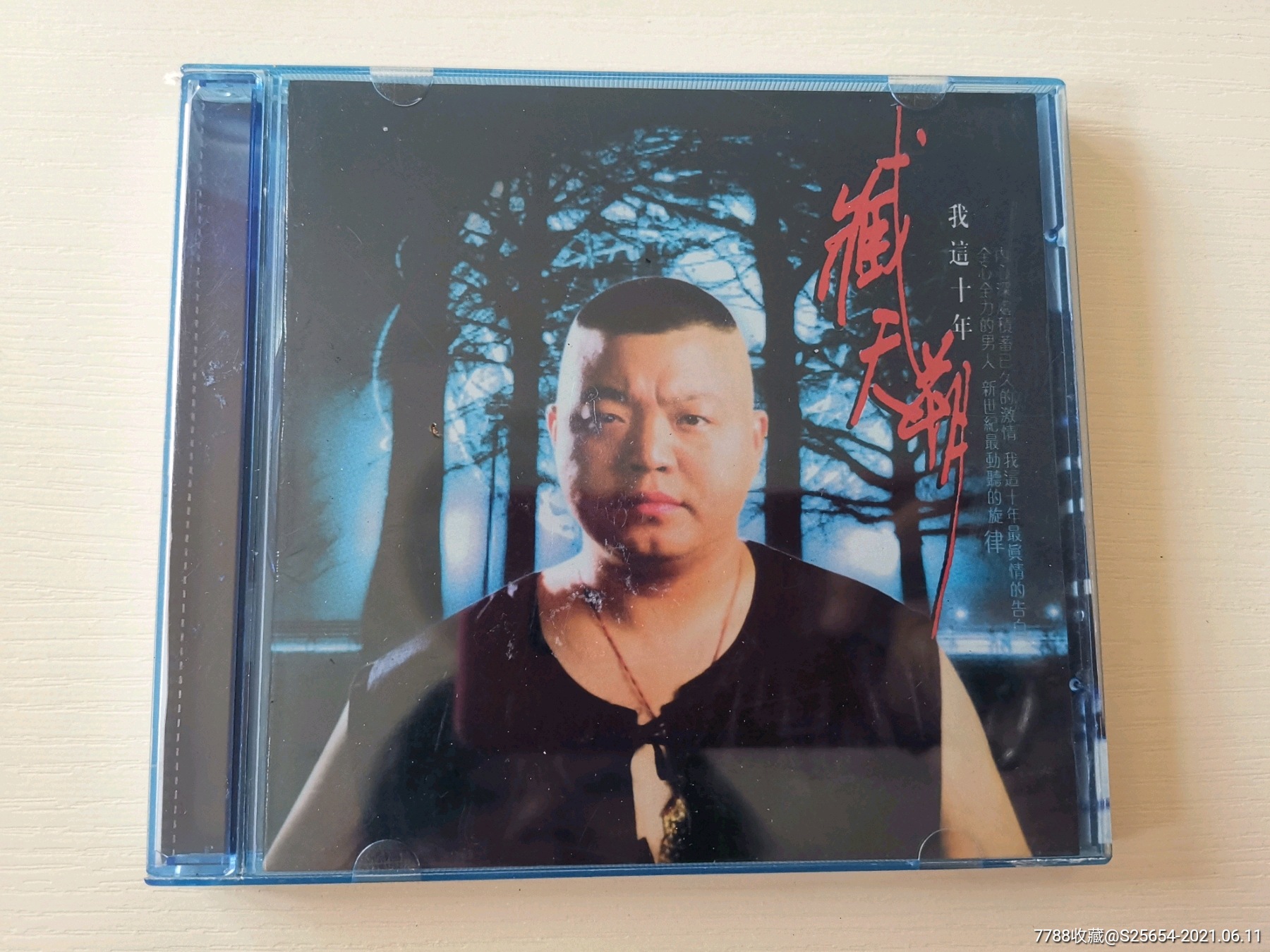 臧天朔我这十年