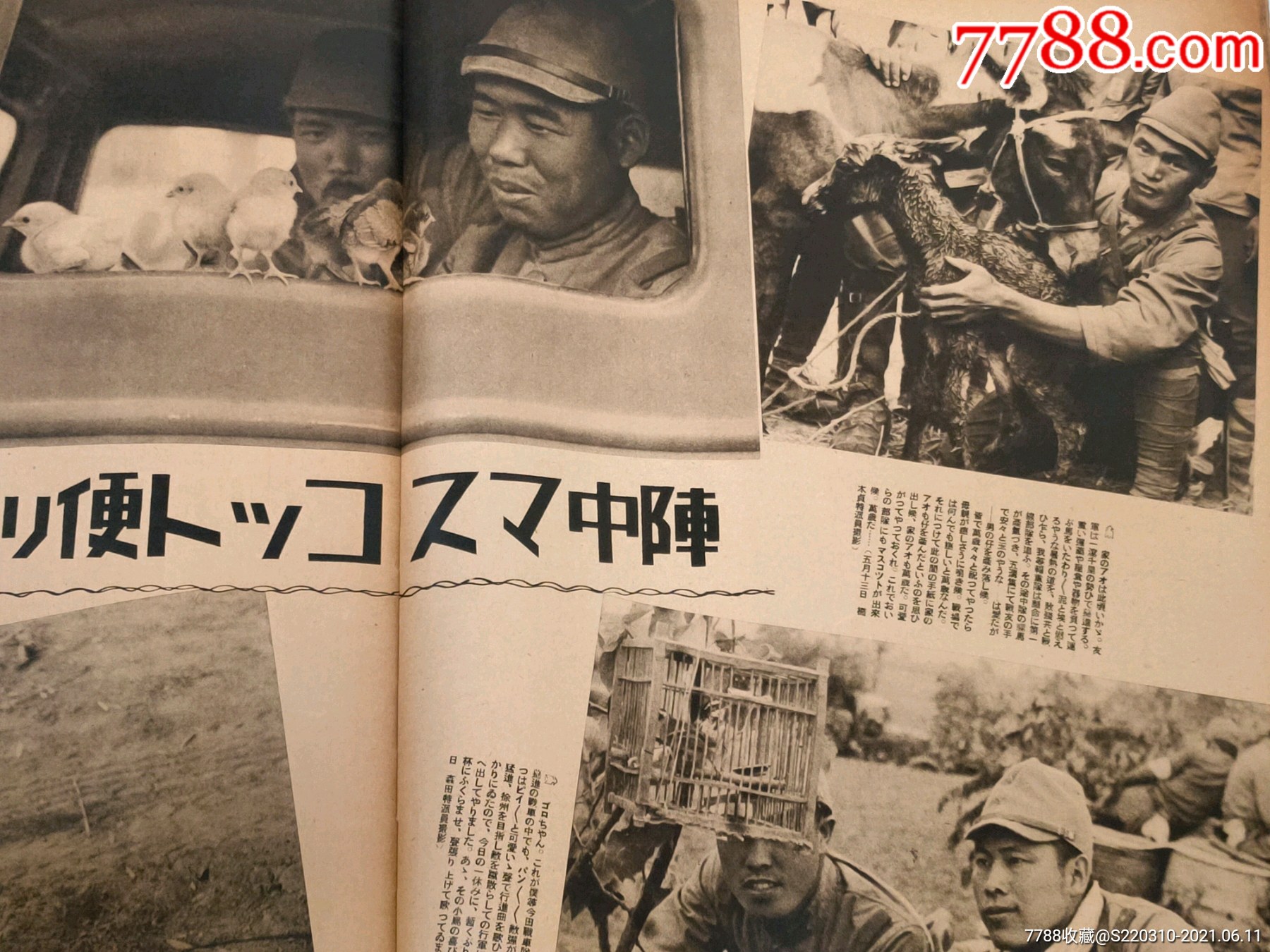 侵华战争时期画报抗战收藏老照片写真内容主要有连云港占领安徽抗战